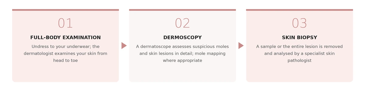 The path from screening to diagnosis: full-body skin check, dermoscopy of suspicious lesions, skin biopsy and pathology report